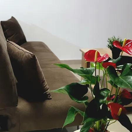 Palm Sea 17 公寓 *